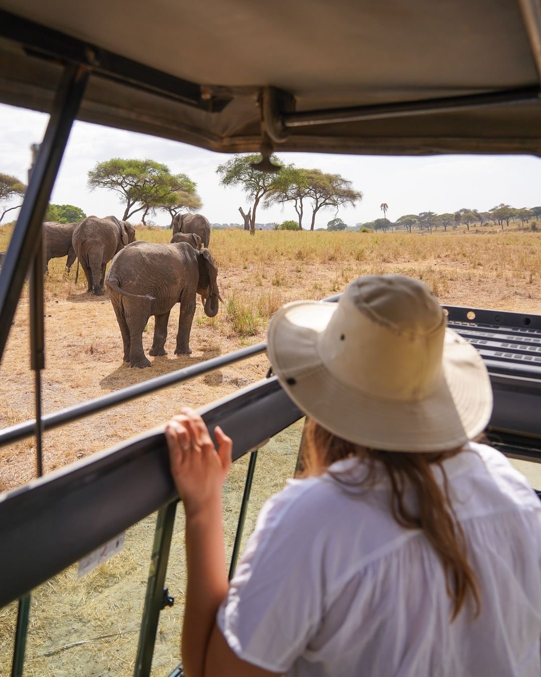 Professional safari guide in Tanzania